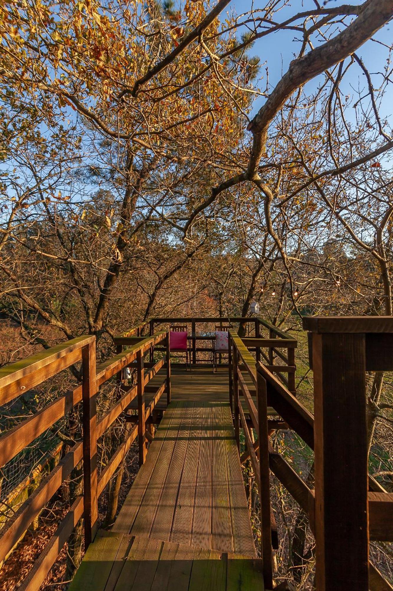 Vale Da Silva Villas - Quinta Albergaria-a-Velha Zimmer foto