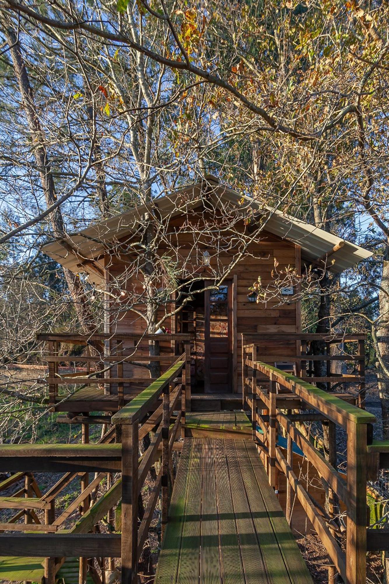 Vale Da Silva Villas - Quinta Albergaria-a-Velha Zimmer foto
